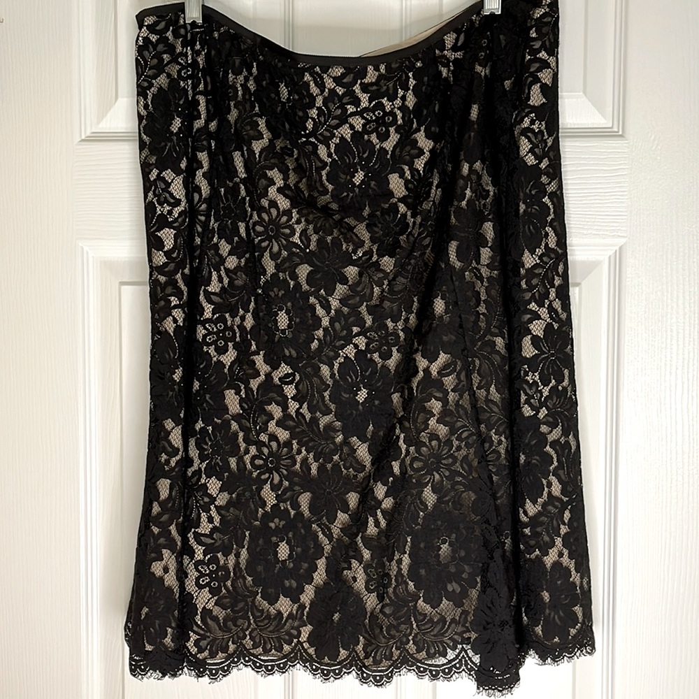 Ann Taylor Lace Skirt - fully lined